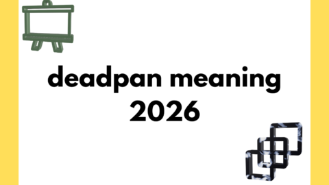 deadpan meaning