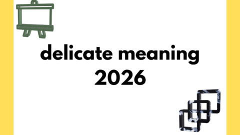 delicate meaning