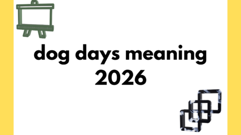 dog days meaning