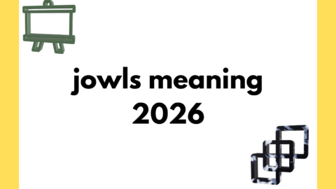 jowls meaning