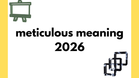 meticulous meaning
