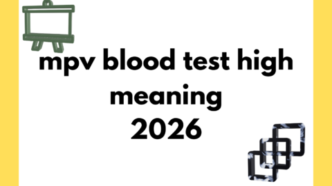mpv blood test high meaning