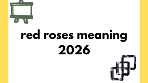 red roses meaning