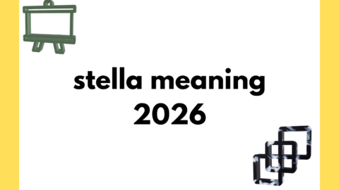 stella meaning