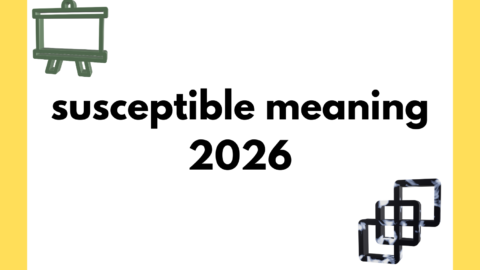 susceptible meaning