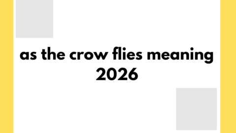 as the crow flies meaning