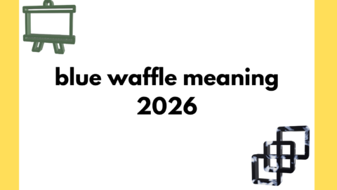 blue waffle meaning