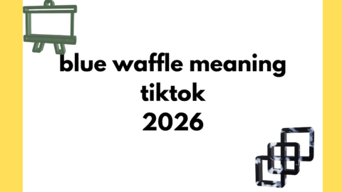 blue waffle meaning tiktok