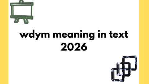 wdym meaning in text