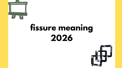 fissure meaning