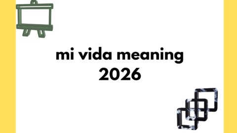 mi vida meaning
