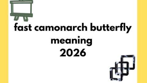 monarch butterfly meaning