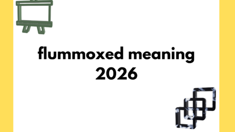 flummoxed meaning