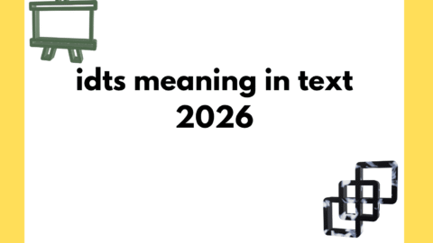 idts meaning in text