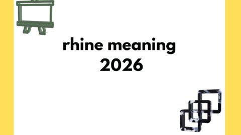 rhine meaning