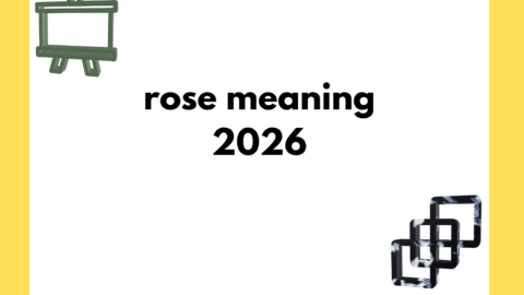 rose meaning