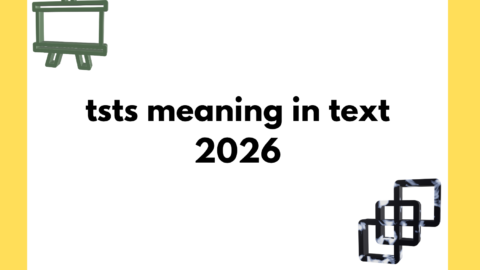 tsts meaning in text