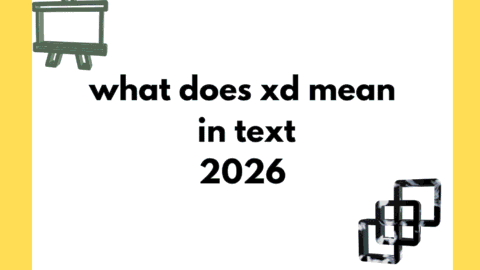what does xd mean in text