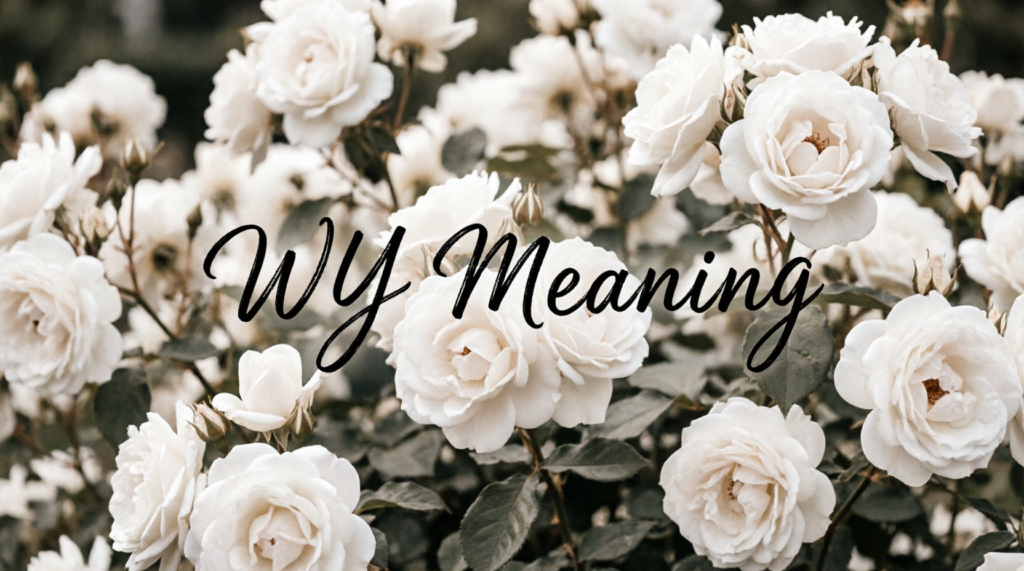 WY Meaning in Text