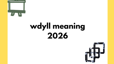wdyll meaning