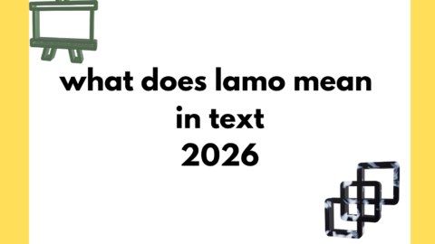 what does lamo mean in text